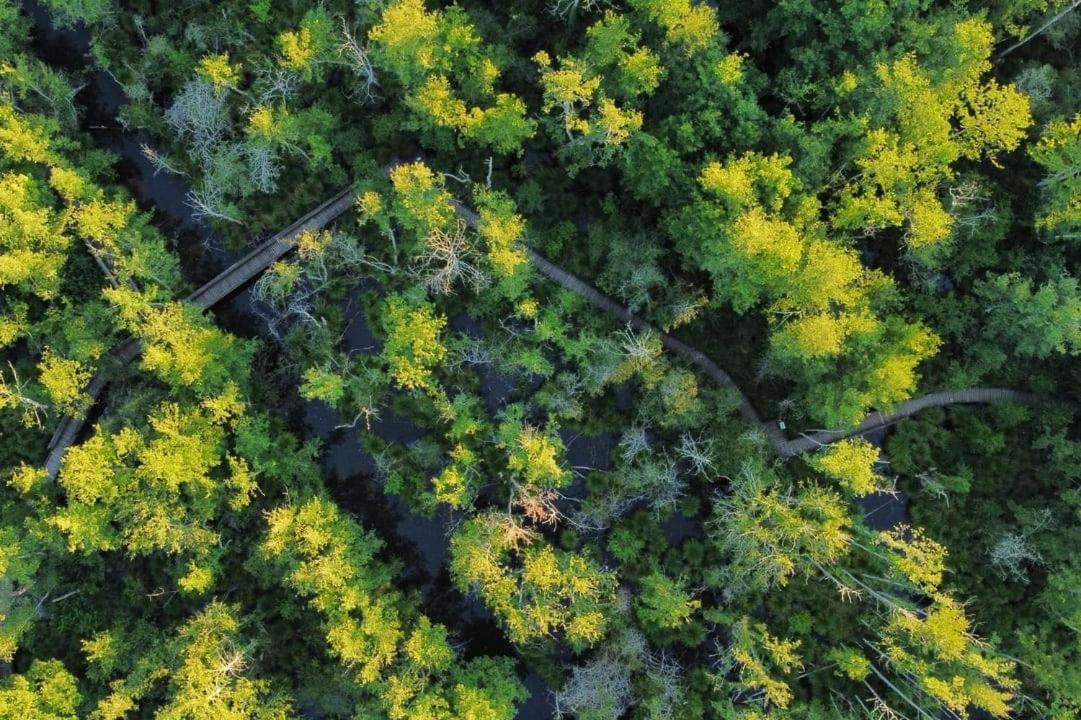 Camping Du Lac De Grolejac Экстерьер фото